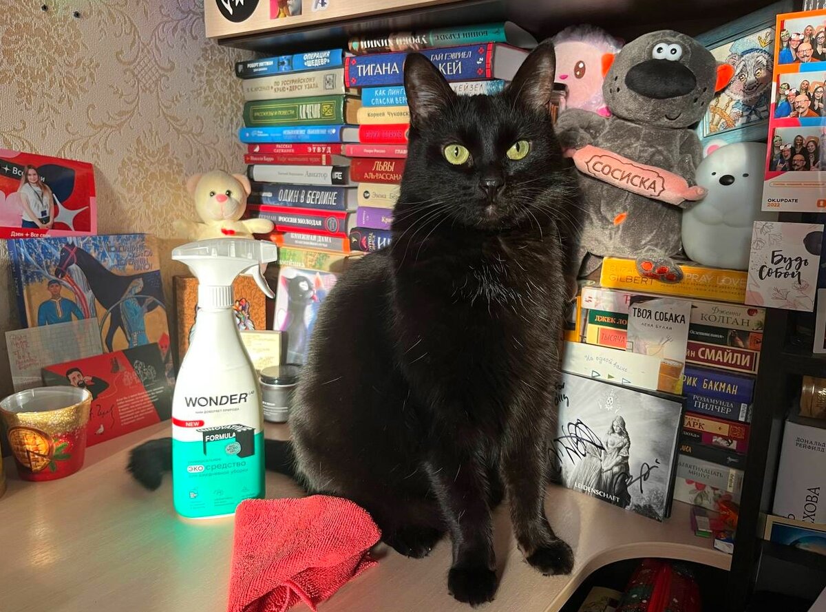 Хранитель домашней библиотеки