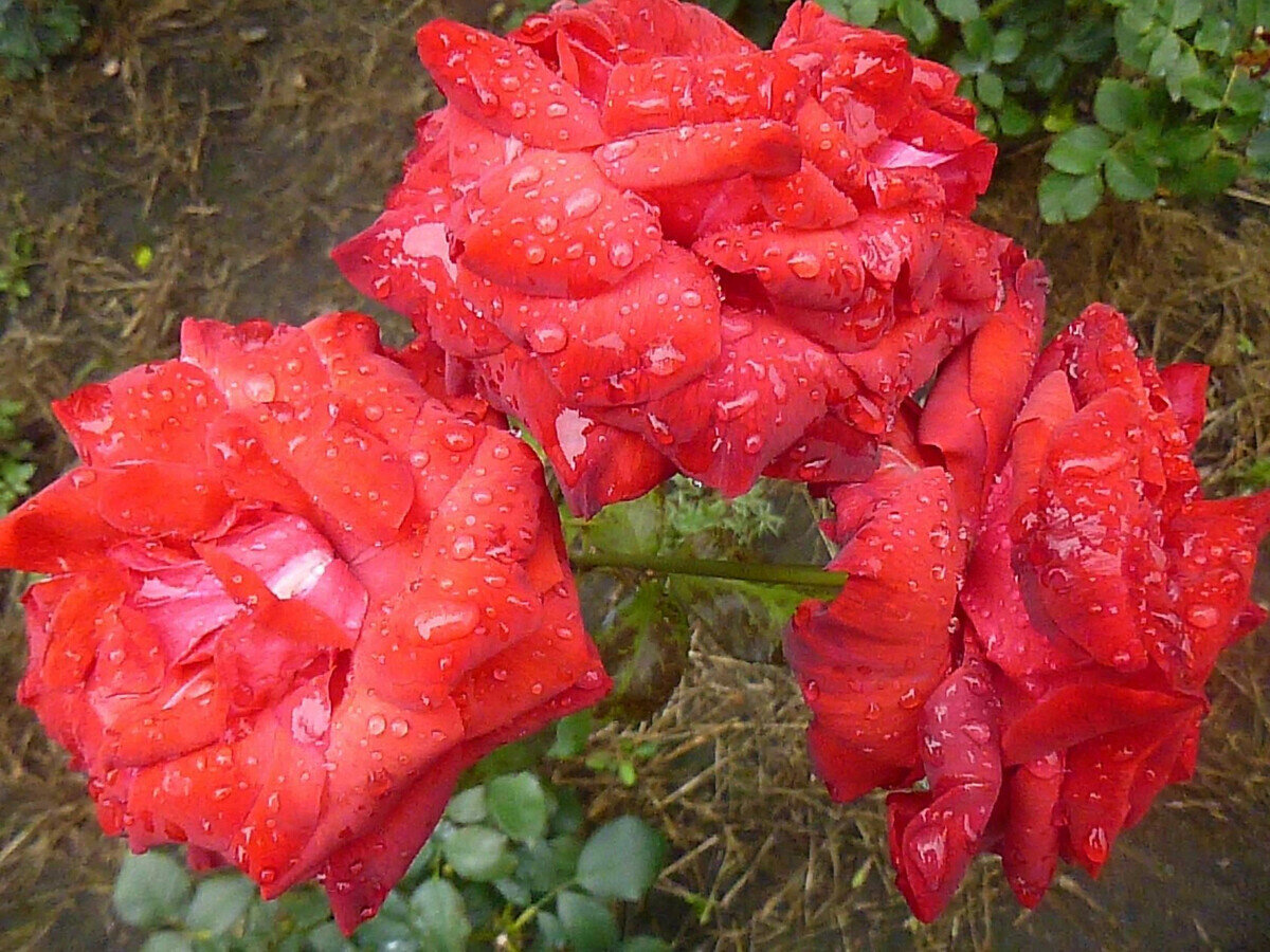 фото Натальи