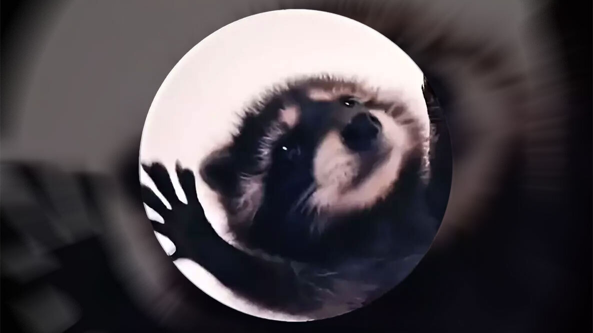 © Канал TommyS Music на YouTube