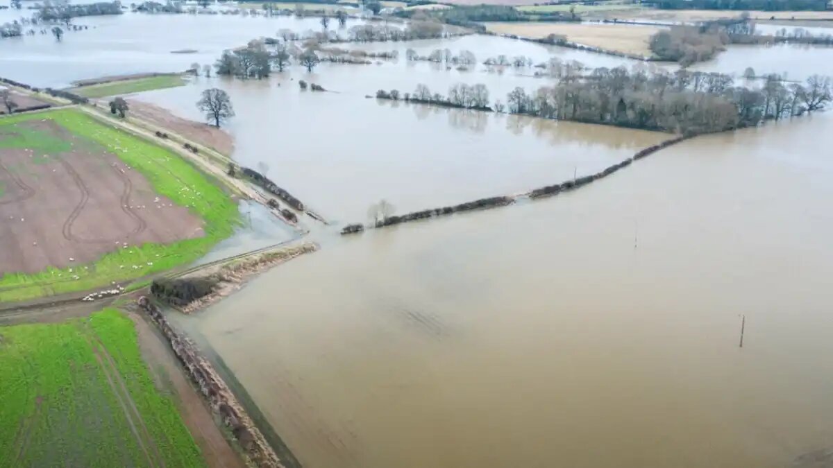 Фото:скриншот видео DRV Berlin Сложные погодные условия стали причиной сокращения посевных площадей зерновых культур в Германии