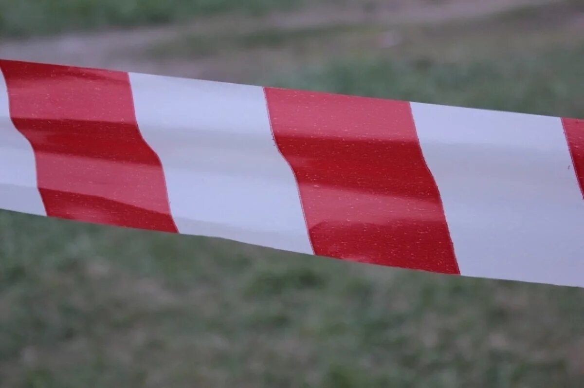    В Курской области днём 24 апреля были обезврежены два БПЛА