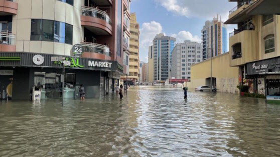    ОАЭ отремонтируют жилые дома за 4,6 млн после разрушительных ливней Роман Захаров