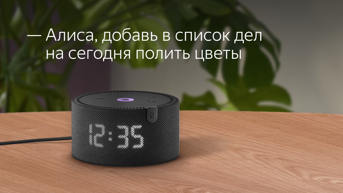 7 возможностей Станции с Алисой для бабушек и дедушек | В гостях у Алисы |  Дзен