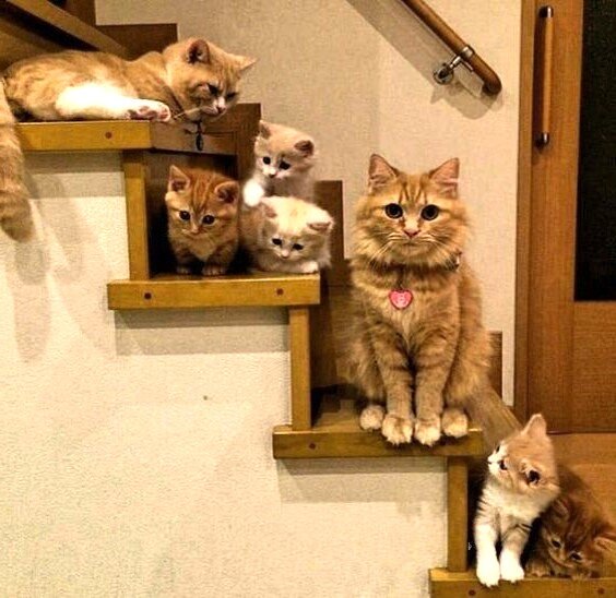 Матерью быть непросто. Но решает ли алкоголь проблему?