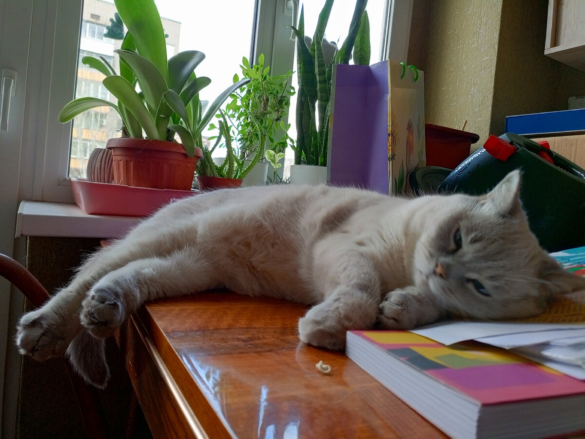 Не знаю как Вам, а мне срочно нужно вздремнуть...