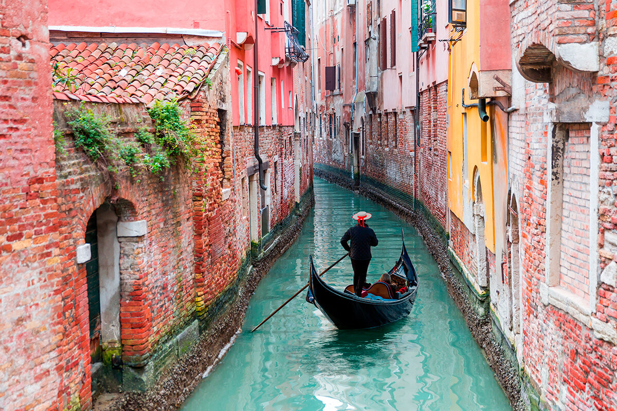    Фото: muratart / Shutterstock.com
