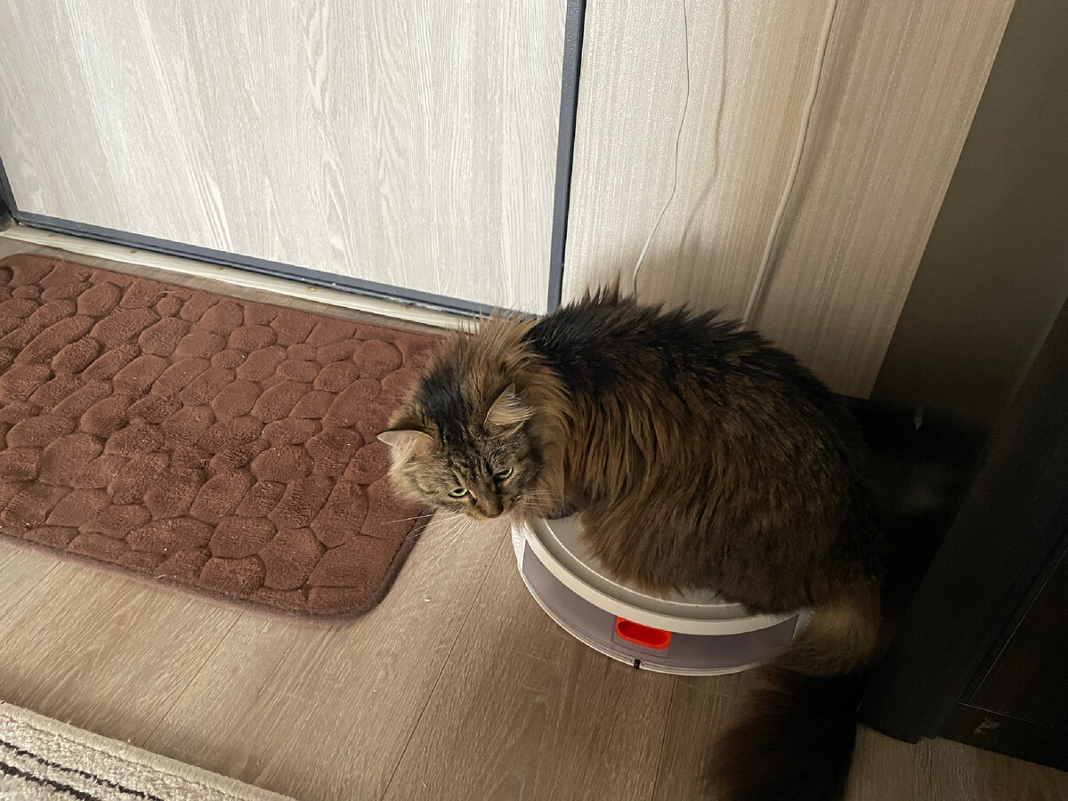 Новое любимое место отдыха