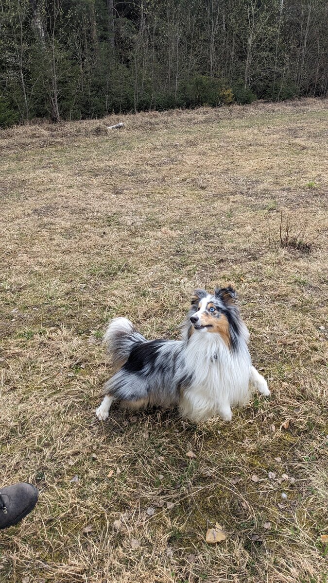 Оообожаю этот взгляд ха, увлечен игрой 