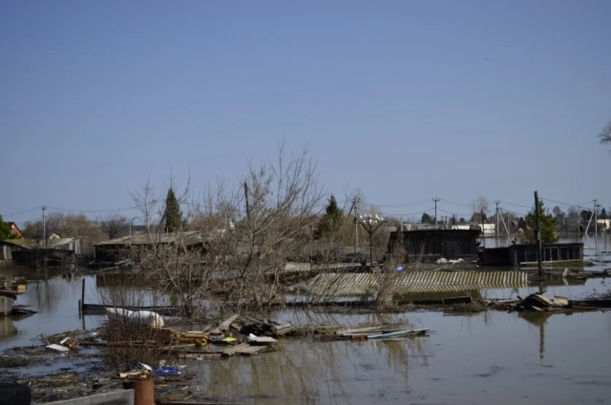    Александр Моор доложил Владимиру Путину о ситуации с паводками в регионе