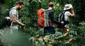    Фото: freepik.com Игорь Бережной