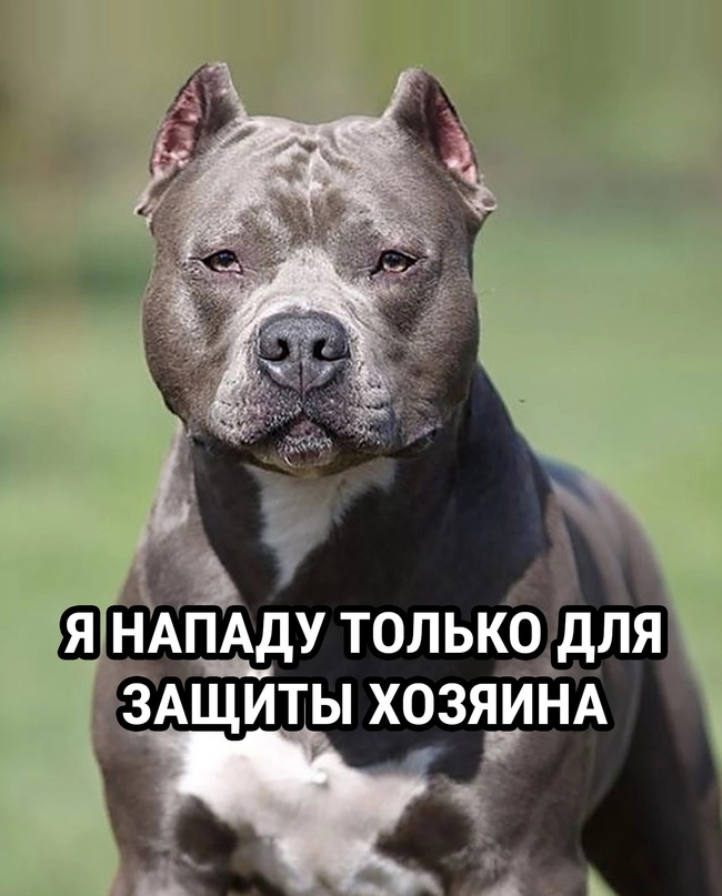 Тип первый