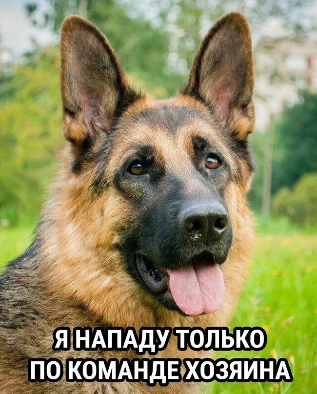 Тип второй