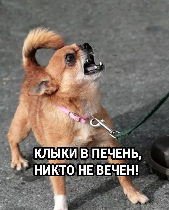 И тип третий
