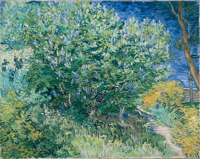 Винсент Ван Гог, «Куст сирени» («Куст. Уголок сада в Провансе»), 1889 г., Эрмитаж, Санкт-Петербург