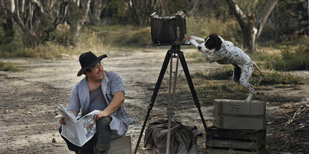 Интересные и смешные фотографии собак, сделанные на протяжении ХХ века.