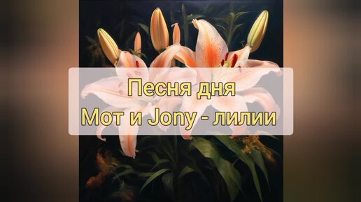 Лилии от Мота и Jony сегодня сделают ваш день ярче