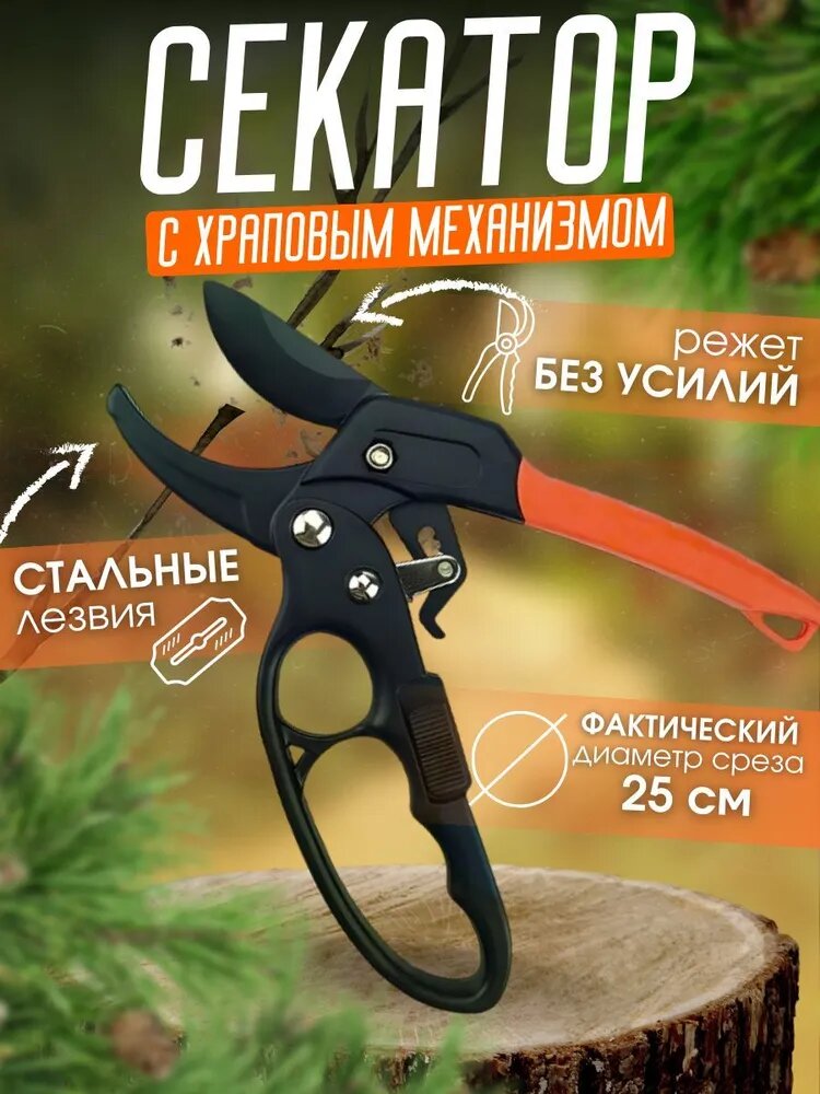 Взято с открытого источника Озон.