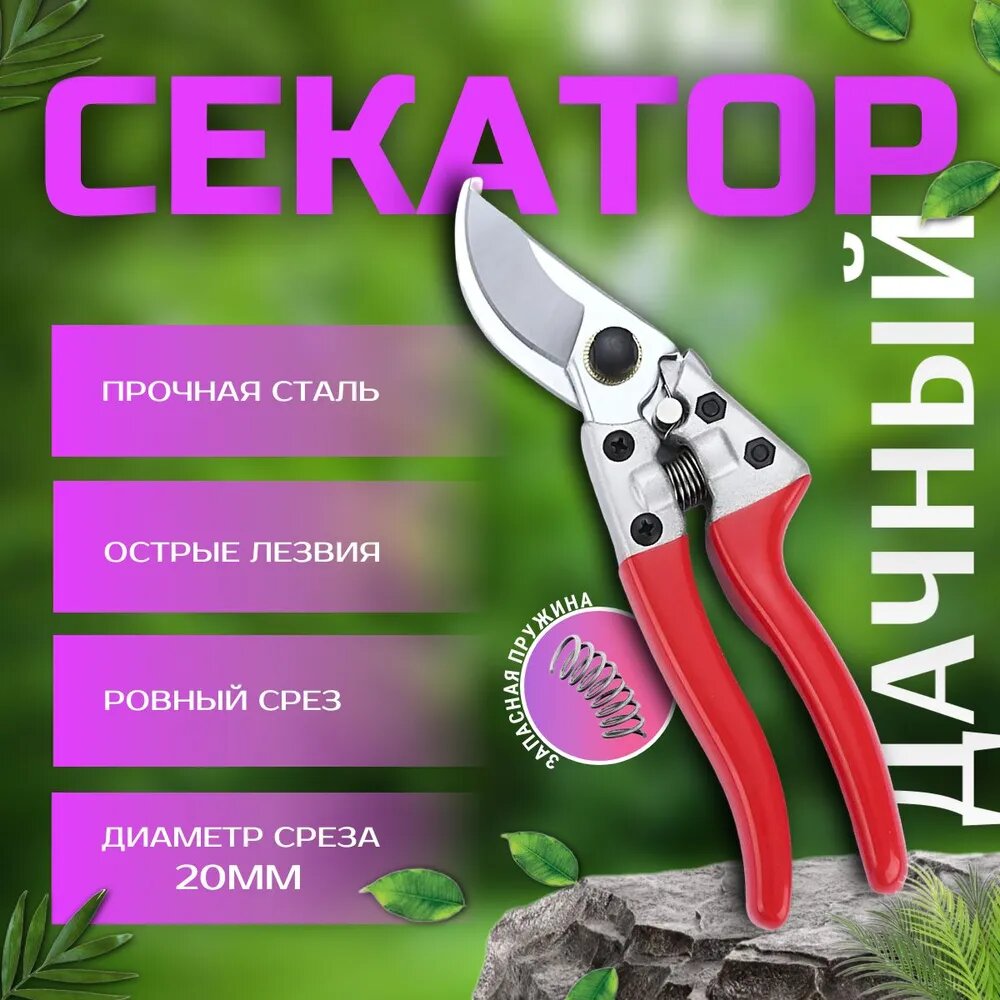 Взято из открытого источника Озон.

