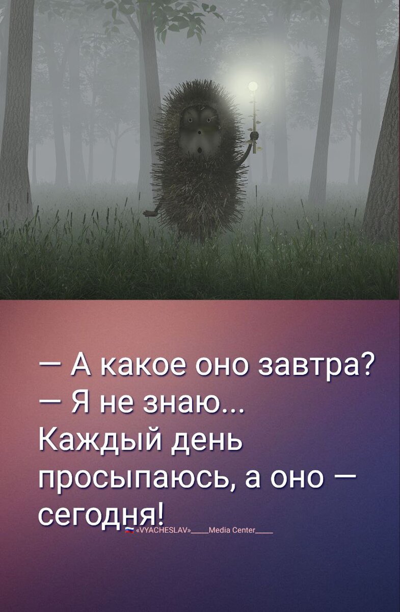 Изображение из интернет в свободном доступе 