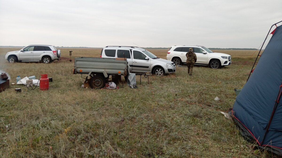     Источник: 1MI