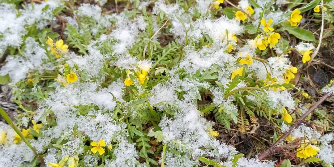 Деревенька - колхозница