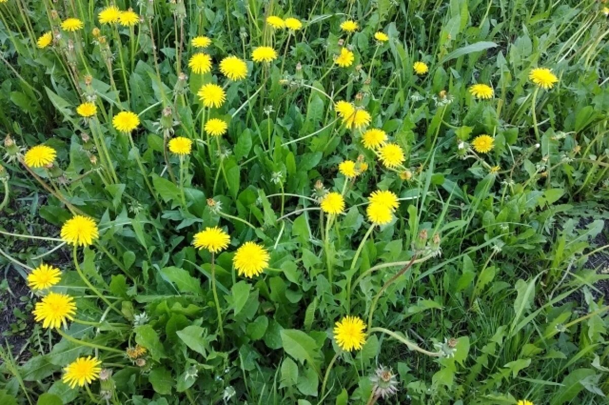    25 апреля в Оренбуржье прогнозируется до 22 градусов тепла