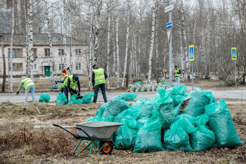    Жителей Югры приглашают на Всероссийский субботник