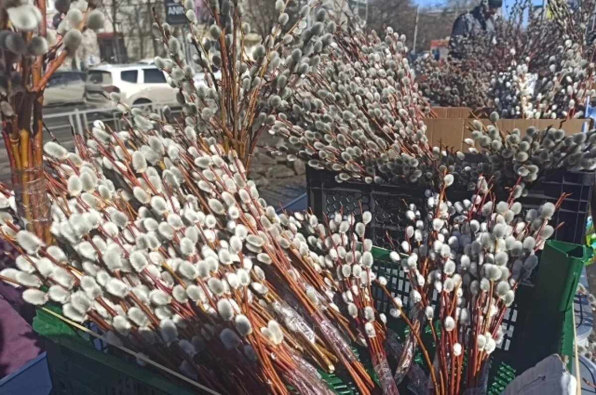    В Красноярске уже начали продавать вербу.