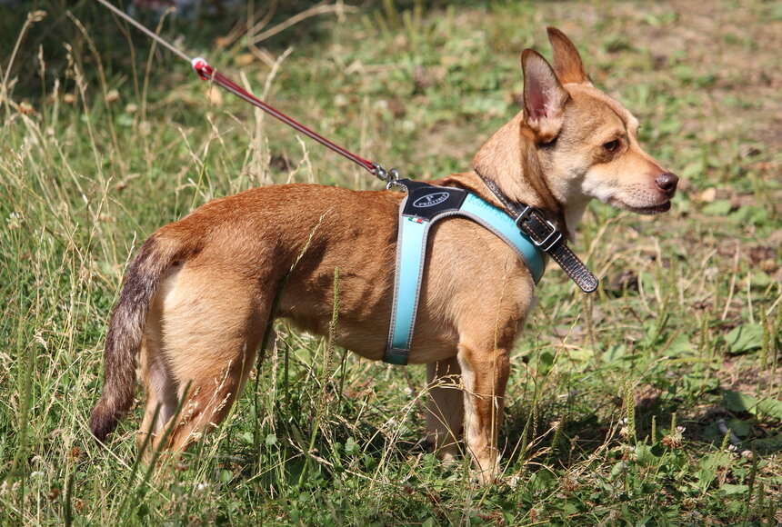 Фото: Царьград/Ростов-на-Дону