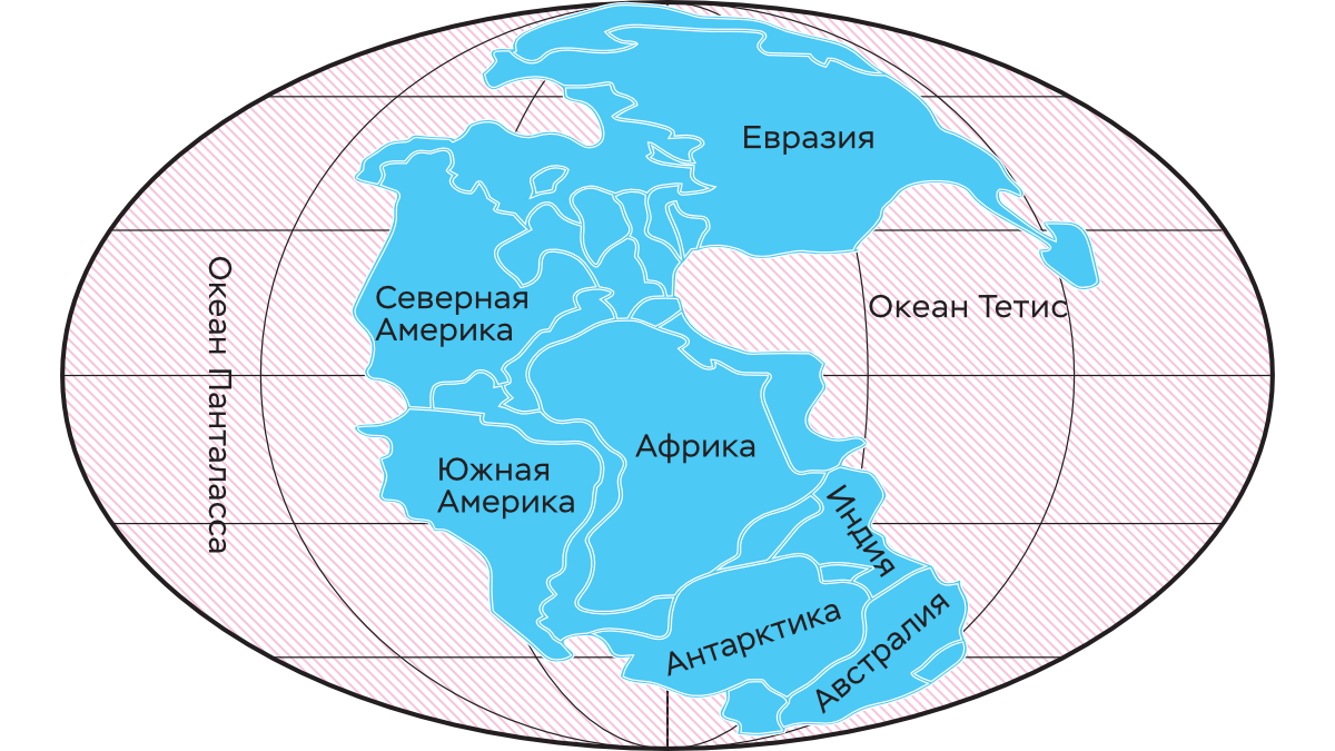 «От суперматерика Пангея к суперматерику Pangea Proxima»: через 250 миллионов лет все нынешние материки вновь сольются воедино