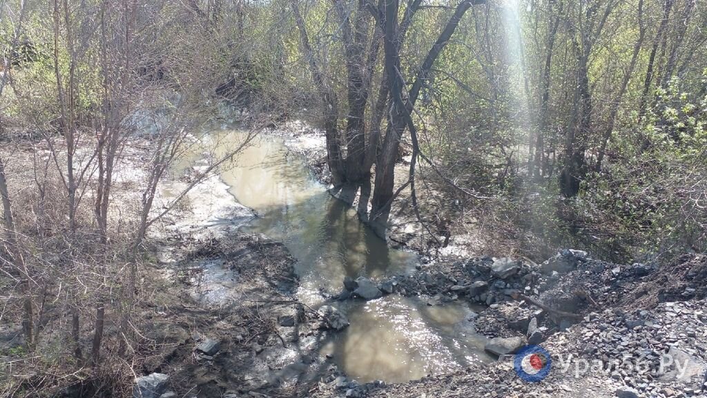    В затопленное паводком СНТ Орска уже несколько недель сливают канализацию