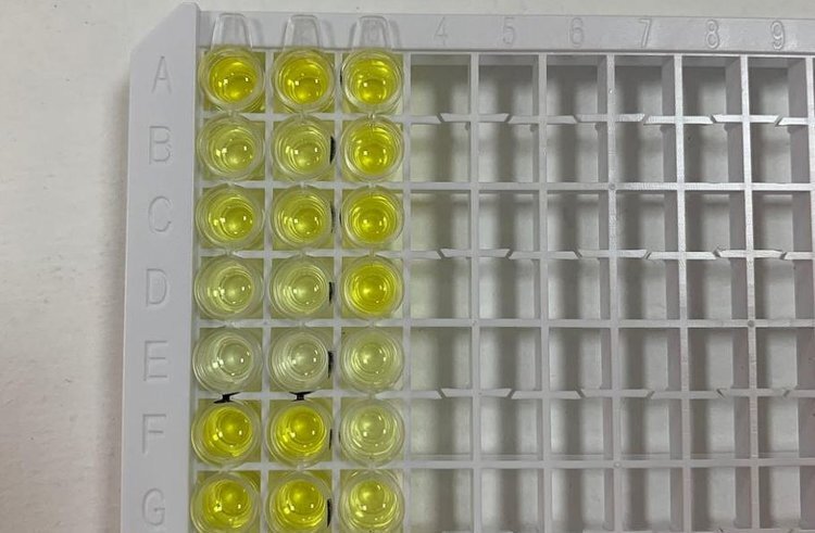    В Дальневосточном ГАУ приступают к развитию нового научного направления по микотоксинам в зерне