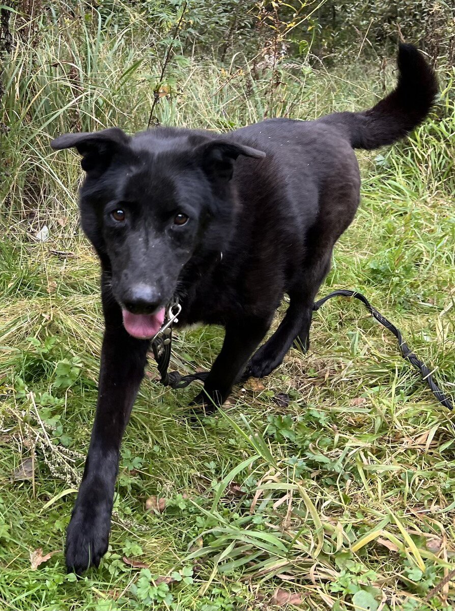 Мне нравится, как меня любят и называют волонтеры