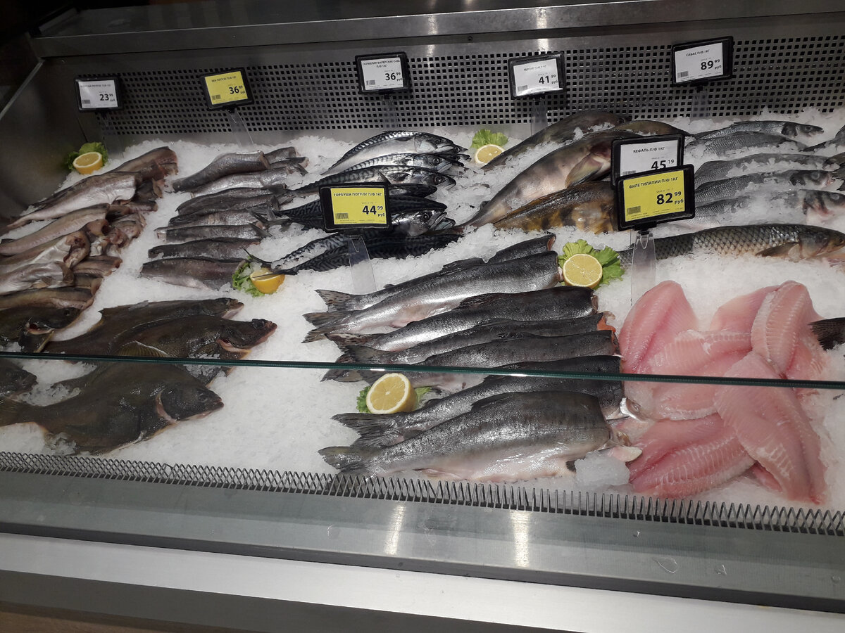 Просто рыба в магазине. Фотография из личного архива.