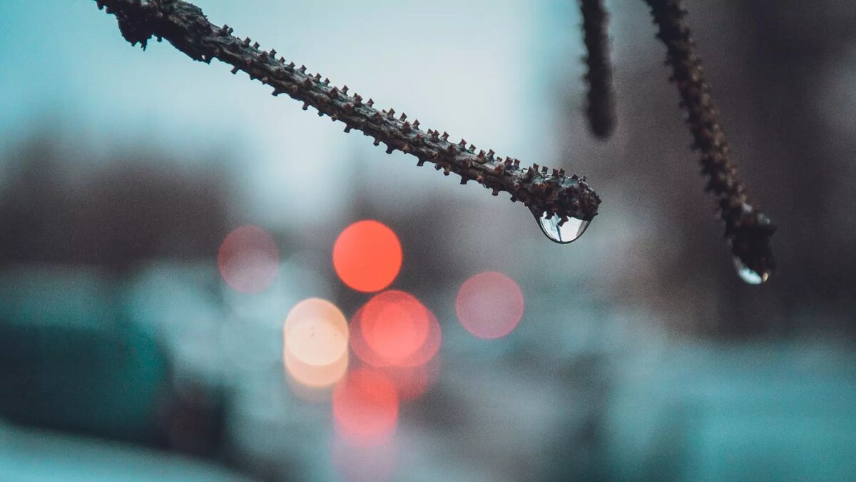     Источник: 1MI