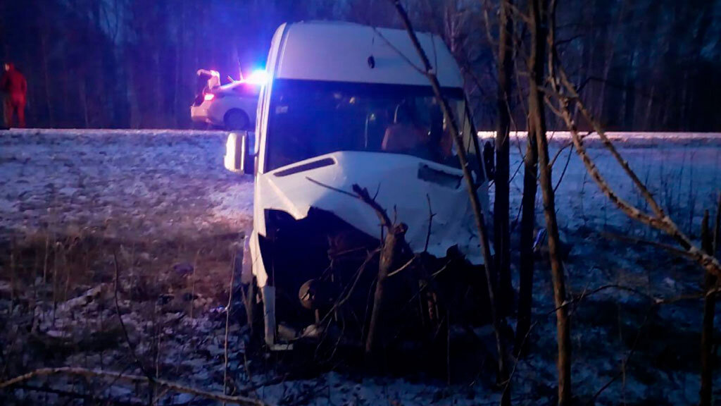    Фото: ГУ МВД по Новосибирской области