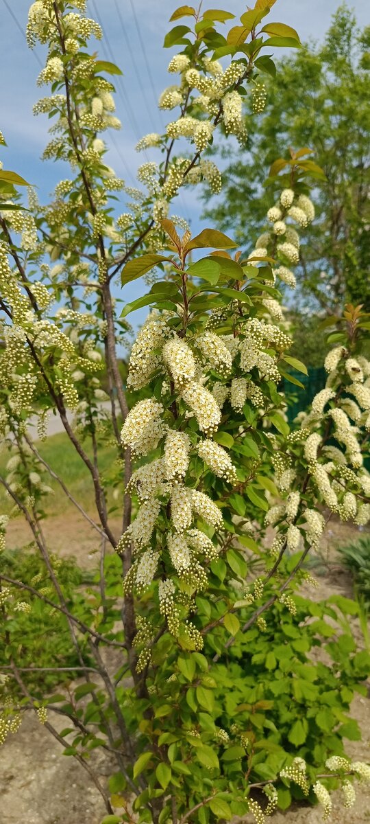 Это и все остальные фото автора