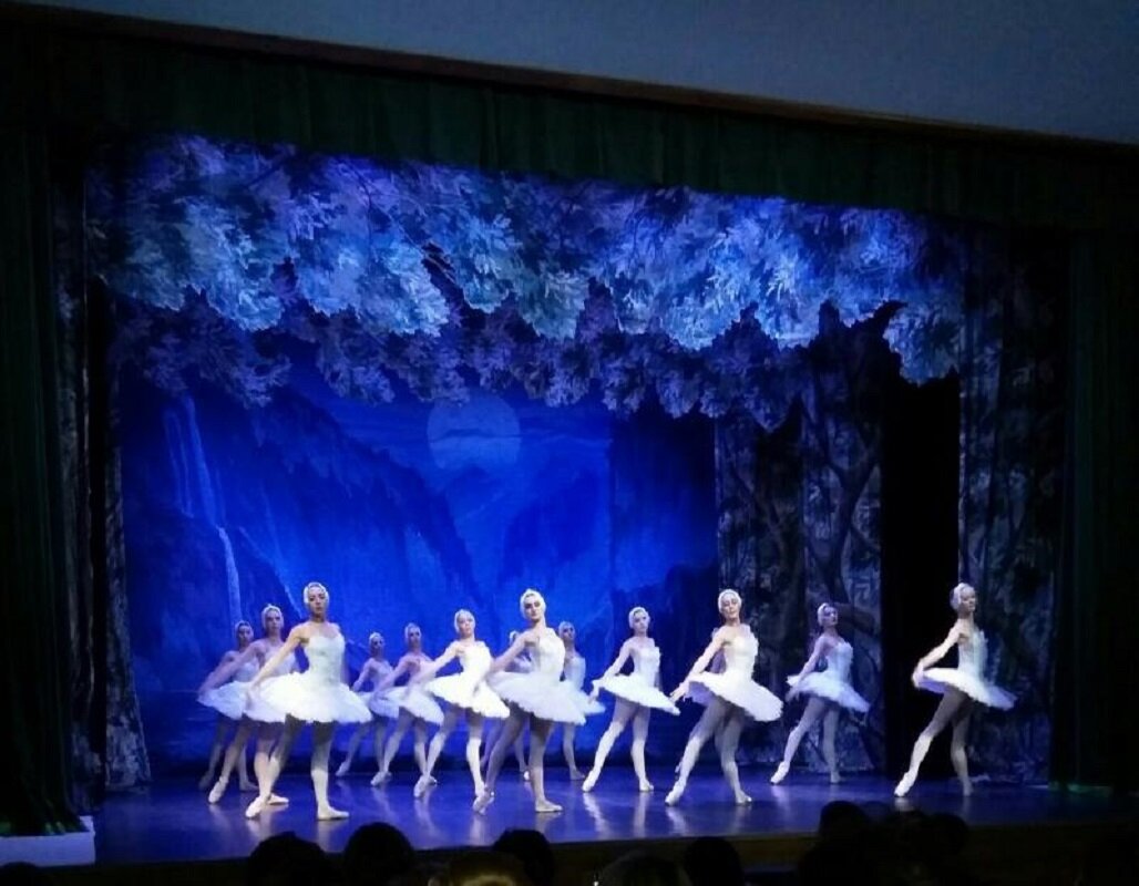 Хакеры запустили в эфир «Лебединое озеро».  Фото: Фото: ФедералПресс / Екатерина Аблицова