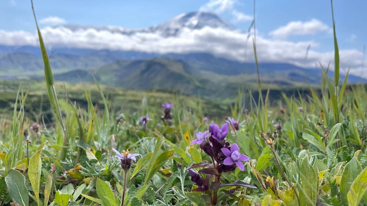 Природные красоты нашей страны 