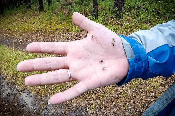    Фото Андрея Заржецкого