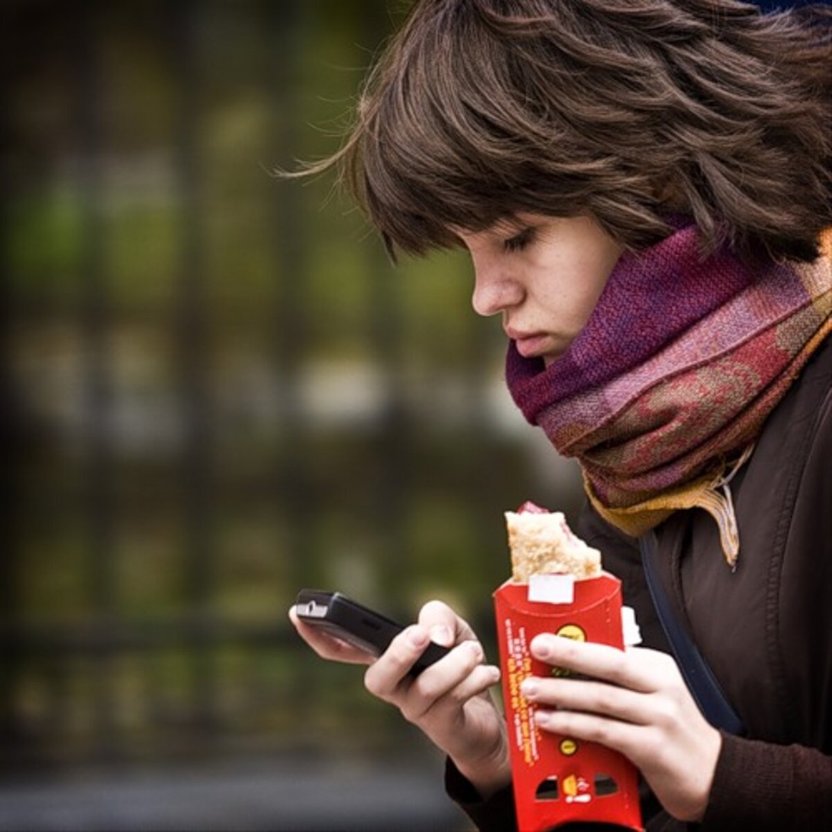 Картинка из свободных источников интернета 