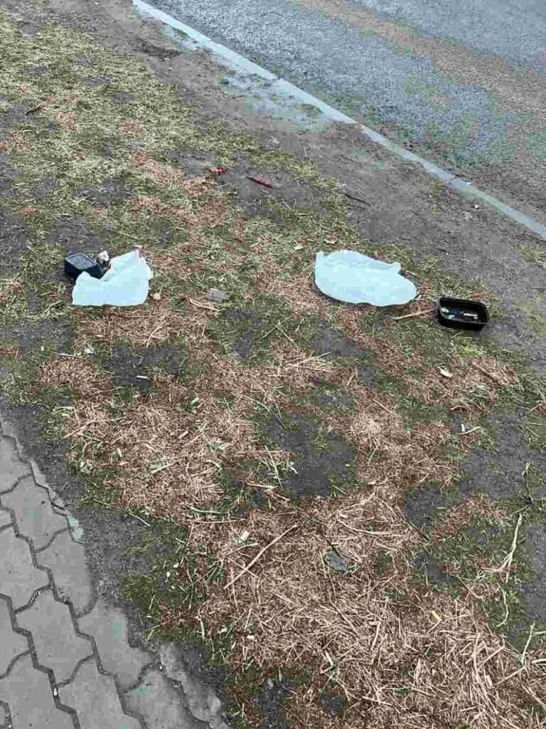    Фото: телеграм-канал Амур.инфо