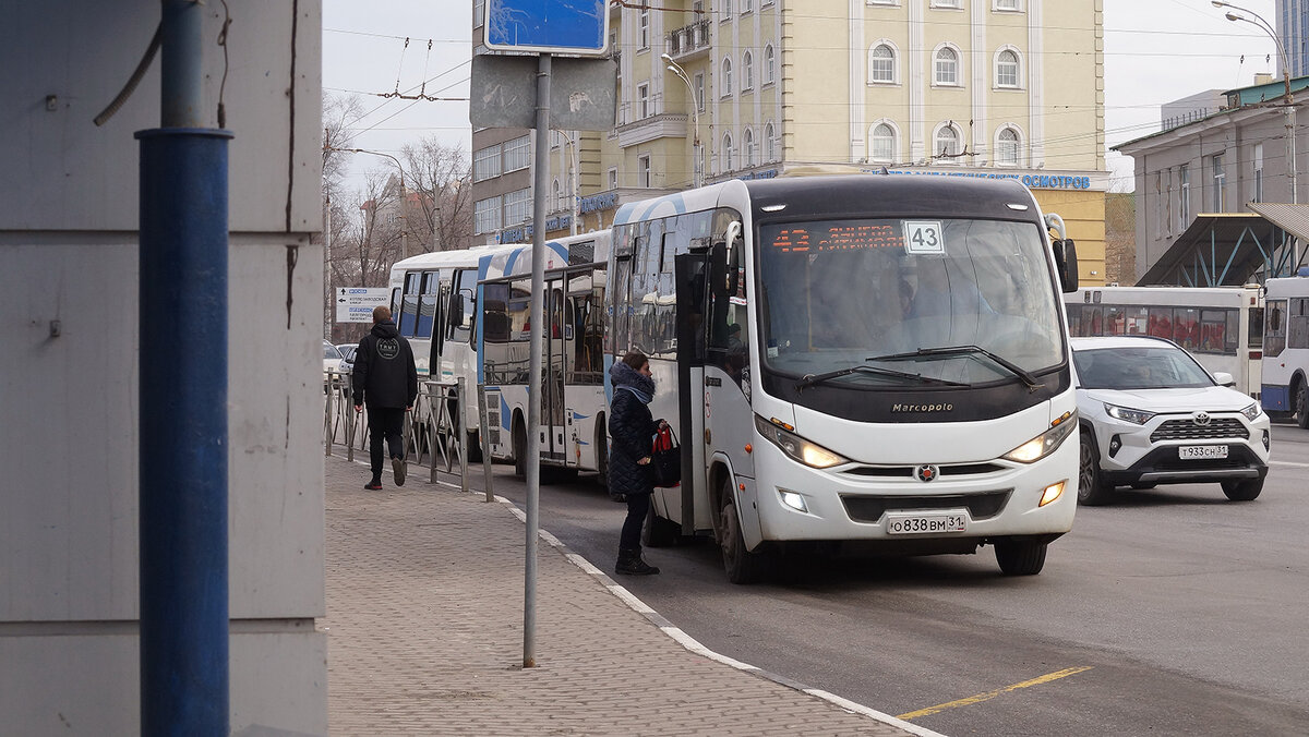 Как будут ходить маршрутки в Белгороде на майских праздниках – 2024 | Go31  | Новости Белгорода | Дзен