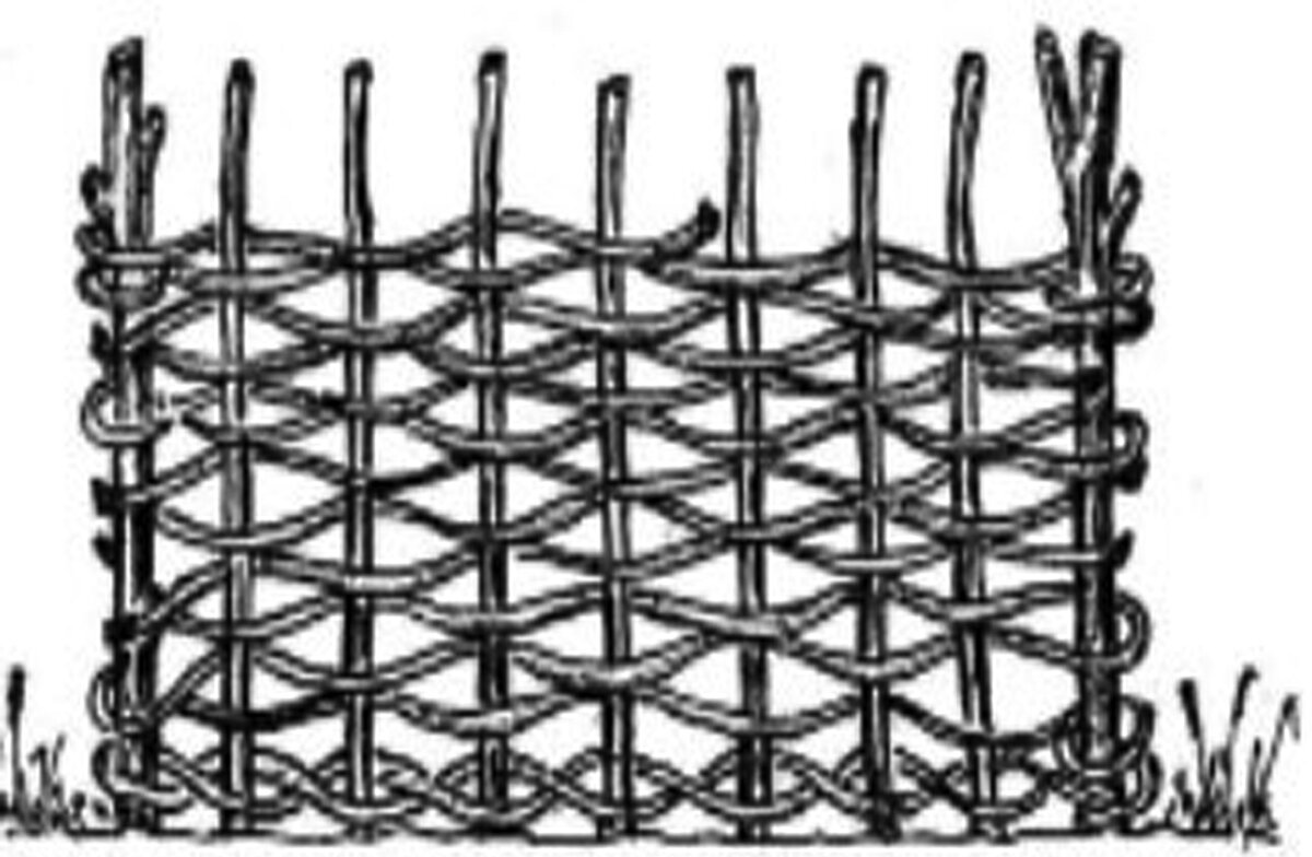 Волгоградцам рассказали, как сделать плетеную изгородь своими руками |  Сельский Житель | Дзен