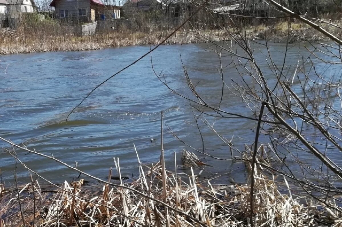    На озере Средний Кабан в Казани обнаружили сброс сточных вод