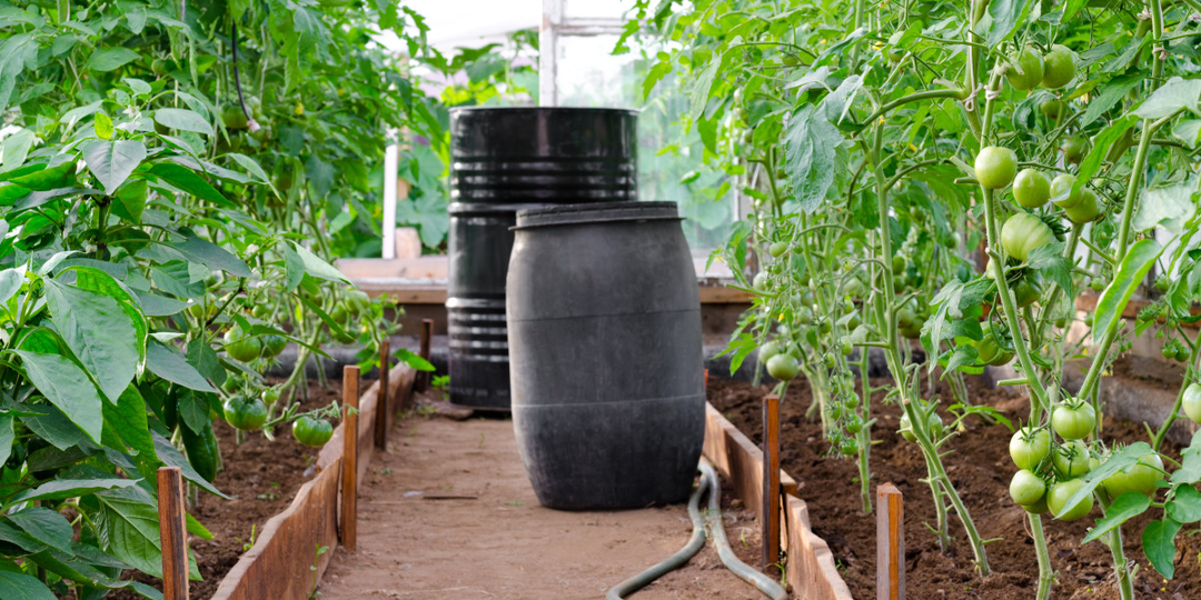 Как обогреть теплицу и парник в холод и заморозки (народные способы)