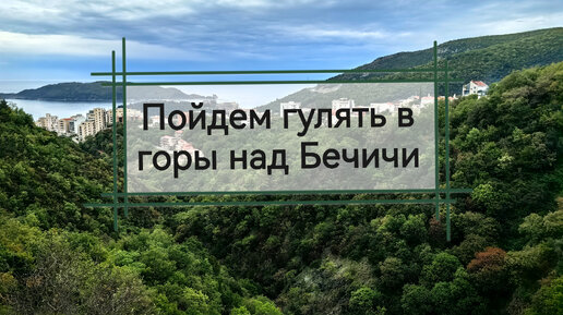 2000-летняя олива, водопад, пещера, заброшка - прогулка в горы над Бечичи