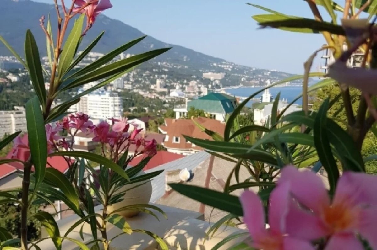    В Крыму могут построить сеть СТО для автомобилей из Китая