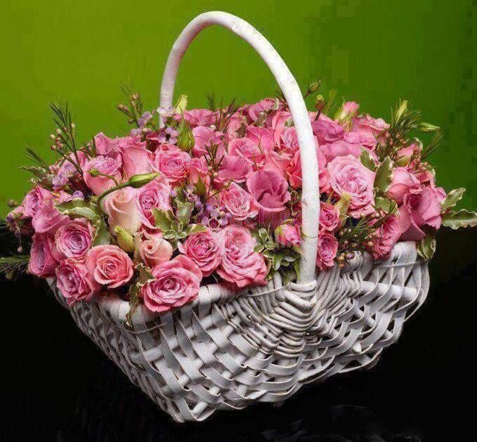 Яндекс картинки