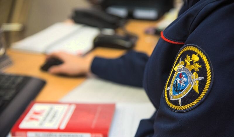 Заведено уголовное дело, но детей до сих пор не нашли.